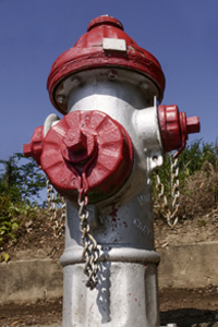 fire hydrant color code silver