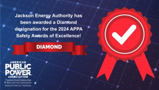 APPA Safety Award of Excellence 2024