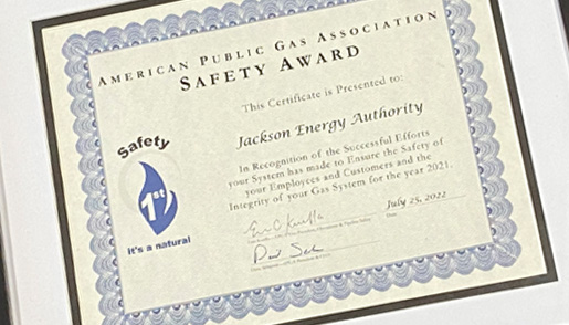 APGA Safety Recognition