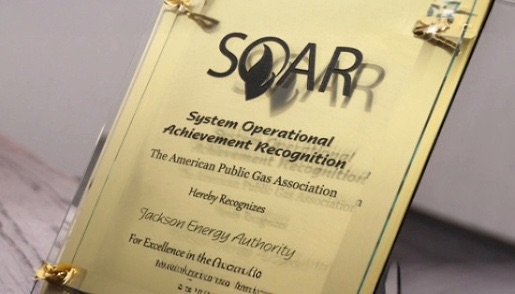APGA SOAR